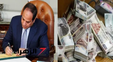 1000 جنيه شهريًا.. قرار جمهوري جديد بصرف منحة للموظفين في هذه الهيئات 1